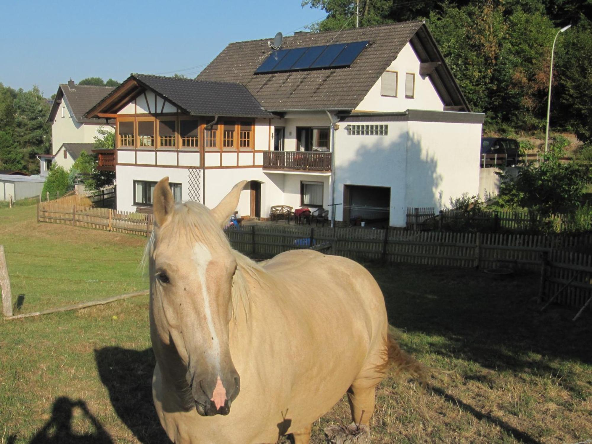 Hotel-Restaurant Im Heisterholz Hemmelzen Kültér fotó